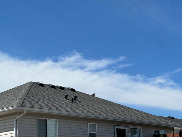 Best Storm Damage Roof Repair  in Cricket, NC